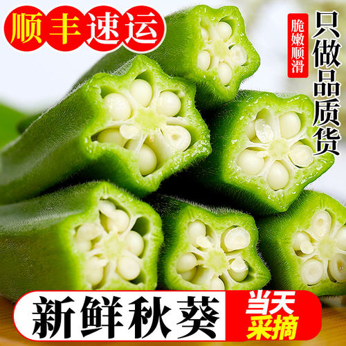 云南新鲜秋葵当季蔬菜