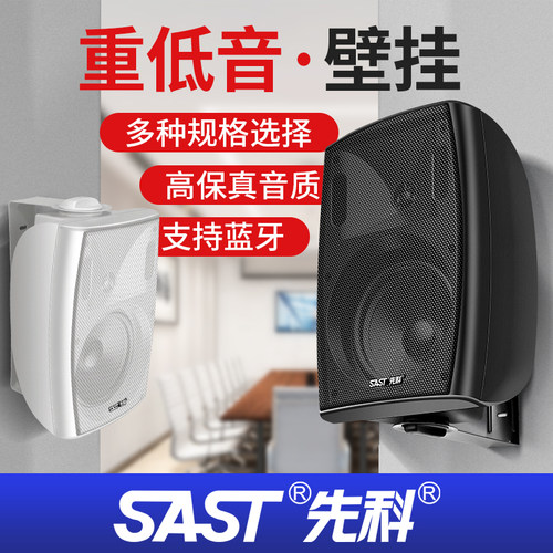 先科无线壁挂音响餐厅店铺专用