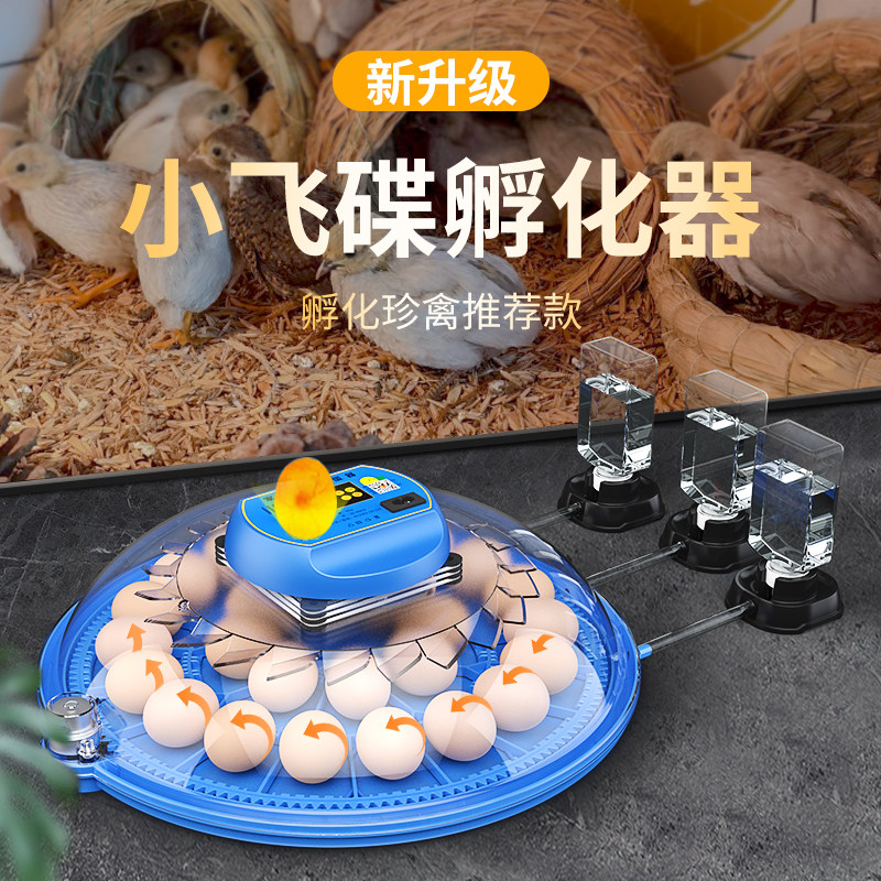 威振小飞碟孵化器小型家用迷你孵化机全自动智能鸟蛋芦丁鸡孵蛋箱