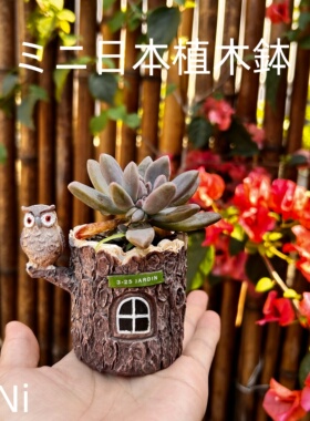 日式木纹树桩猫头鹰多肉花盆