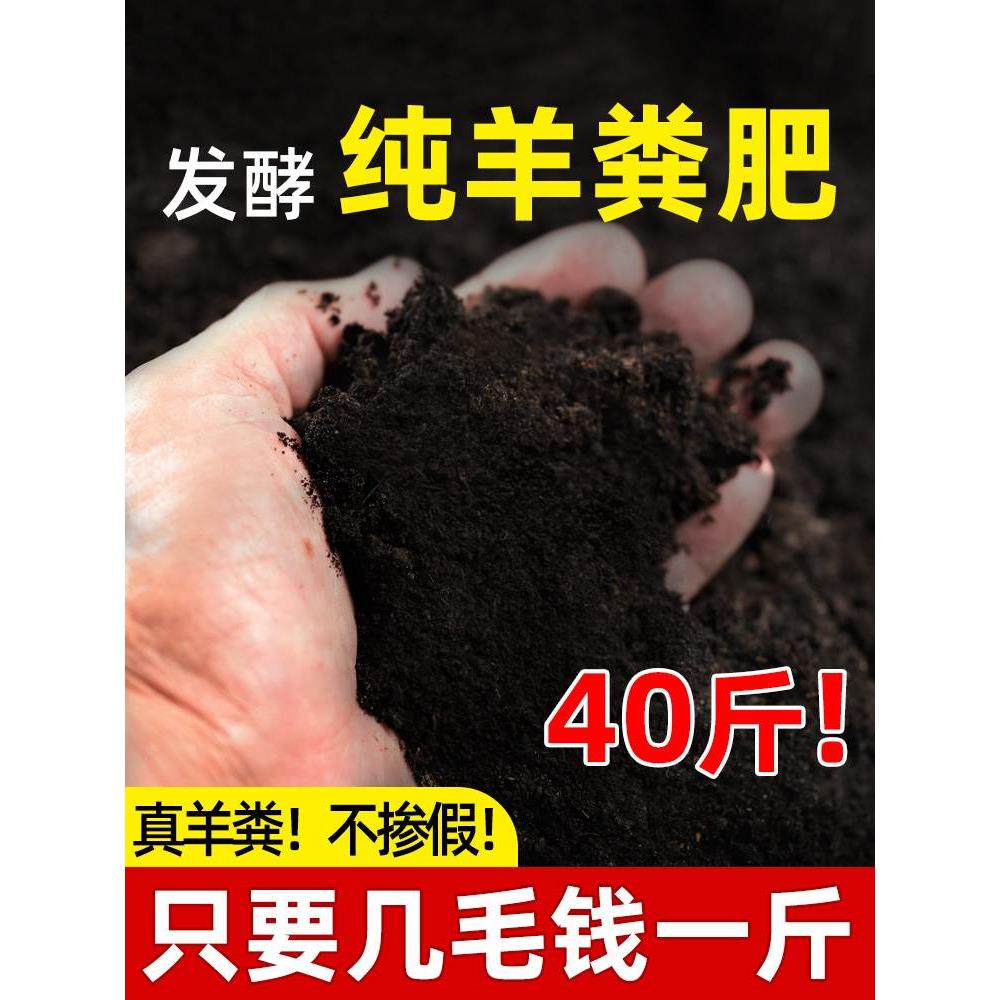 羊粪发酵有机肥斤纯蔬菜