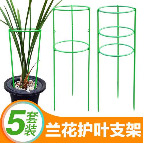 惠兰莲瓣双层花护叶支架