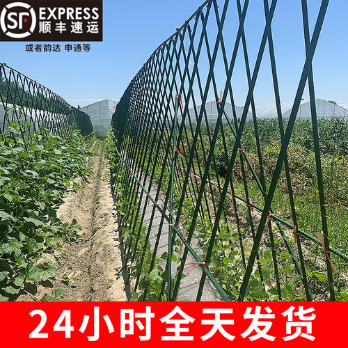 黄瓜爬藤架喜丰隆菜园种菜支撑架