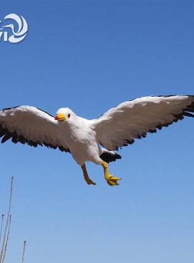 彷真海鸥模型真羽毛装饰褐翅燕鸥沙滩摄影道具湿地动物摆件工艺品