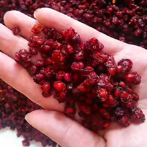 东北纯野生长白山五味子250g