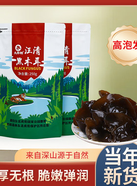 大柞树秋木耳肉厚精品碗耳脆脆的