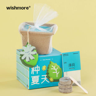 wishmore种夏天薄荷植物礼盒创意生日礼物送员工闺蜜男女朋友儿童
