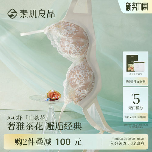 性感深V蕾丝小胸聚拢文胸套装