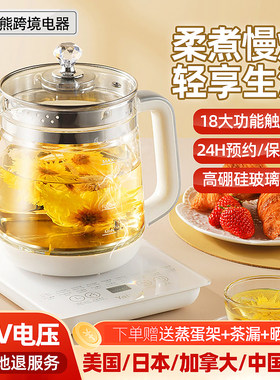 110V伏养生壶家用美国日本加拿大