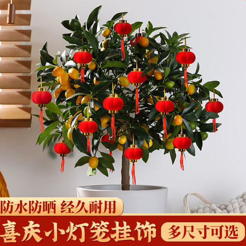 小红灯笼挂饰结婚乔迁户外庭院绿植盆栽树上喜庆装饰氛围布置用品