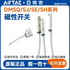 亚德客感应磁性开关DMSG/DMSJ/DMSH/DMSE-2W/020/030/050传感器