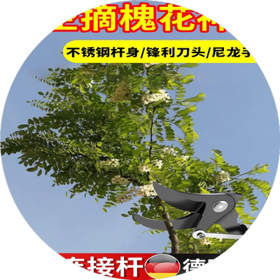 摘槐花神器割草刀高空摘果器不锈钢摘洋槐花香椿钩子多功能伸缩杆