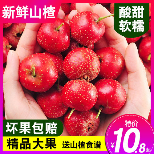山楂新鲜山楂果酸甜软糯坏果包赔