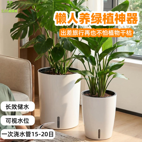 大口径懒人种树盆一个月浇水一次