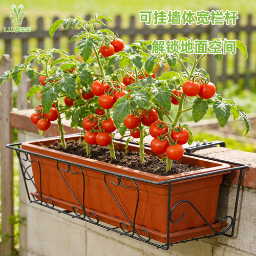 阳台栏杆花盆架园艺铁艺挂式花架