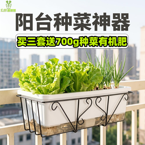 自吸悬挂免浇水透明托多肉花盆