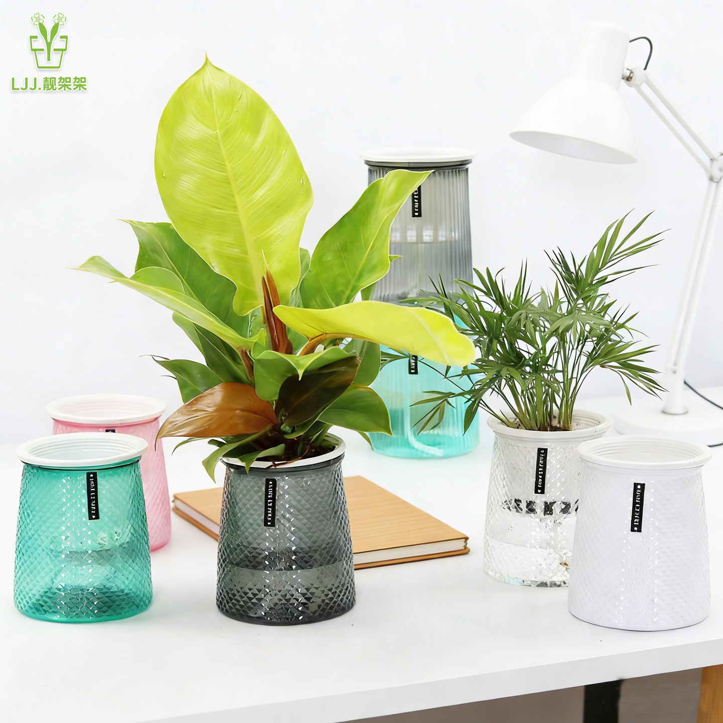 水培花盆塑料懒人自吸水绿萝月季桌面家用树脂多肉百合专用器皿盆