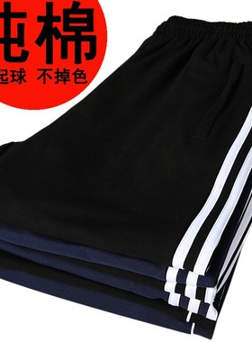 纯棉校服裤子男女高中学生两条杠藏蓝色运动双杠加绒加厚初中校裤