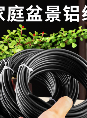 盆景造型专用铝丝蟠扎铝丝线盘扎铝线三角梅园艺铁丝吕丝花卉定型