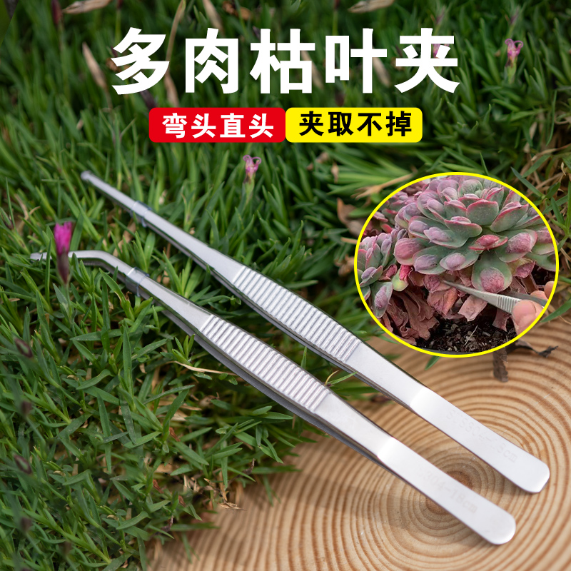 多肉夹枯叶专用园艺长镊子