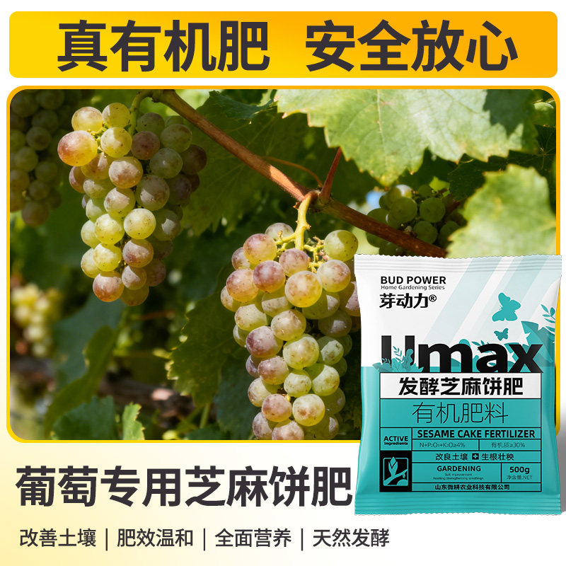葡萄专用芝麻饼肥发酵菜籽饼芝麻饼有机肥发酵腐熟花肥料,鲜花速递/花卉仿真/绿植园艺,家庭园艺肥料,淘宝优惠券,粉丝福利购,淘宝优惠卷