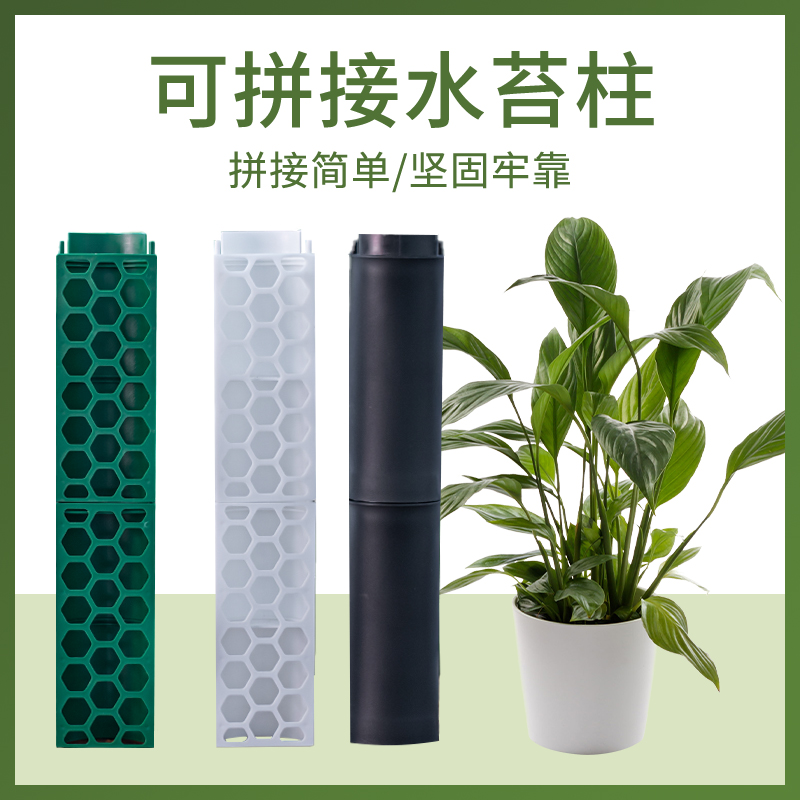 2024新款热植爬藤植物固定可拼接