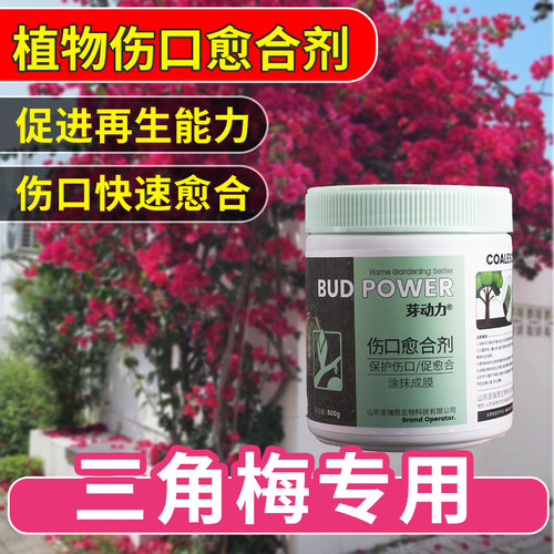三角梅专用植物伤口愈合剂果树