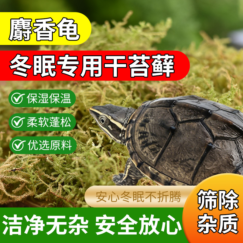 花多多麝香龟乌龟专用苔藓冬眠干苔藓智利水苔冬眠专用冬眠苔