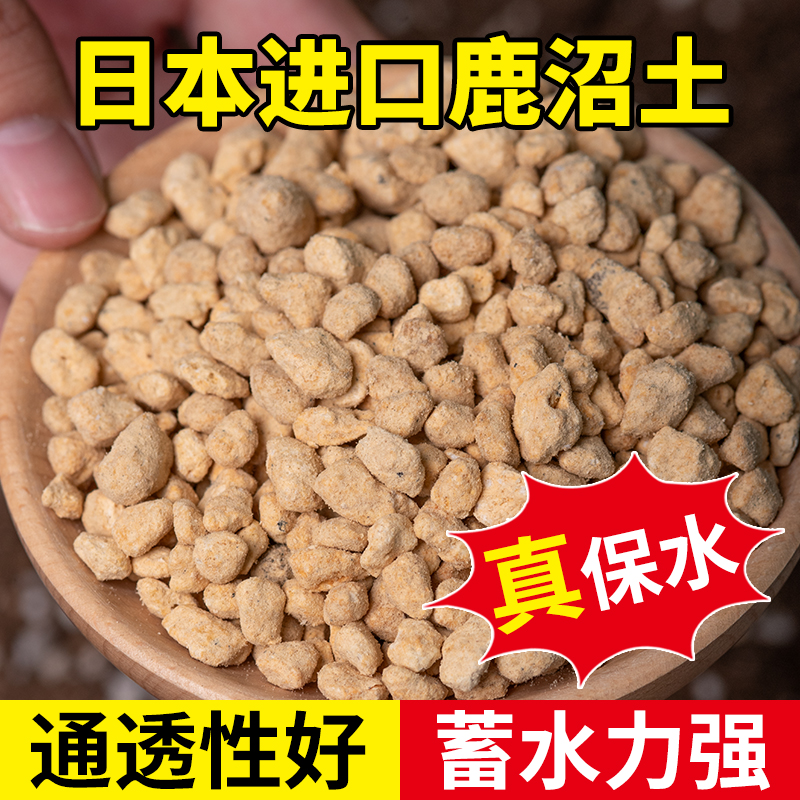 花多多多肉专用进口鹿沼土