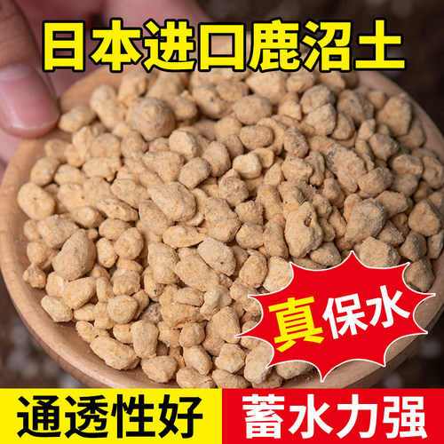 花多多多肉专用进口鹿沼土