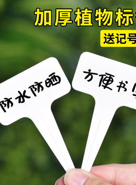 多肉标签T型防水1字型插牌园艺植物花卉塑料标记标识牌小标注神器