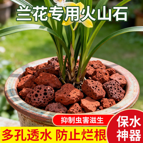 兰花专用火山石颗粒养花营养土植料铺面石料垫底砂石拌土红火山岩