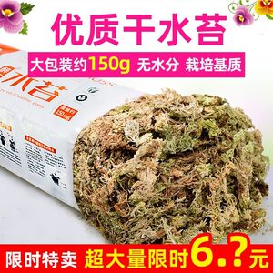 土苔藓价格 土苔藓图片 星期三