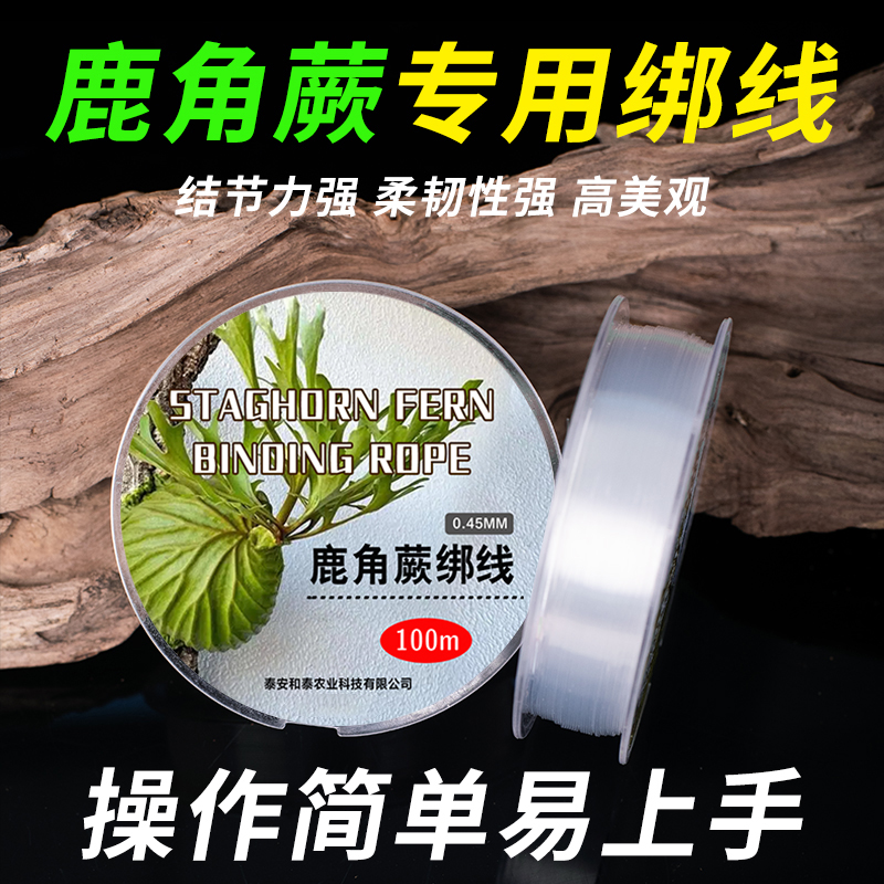 花多多尼龙线鱼线上板线板