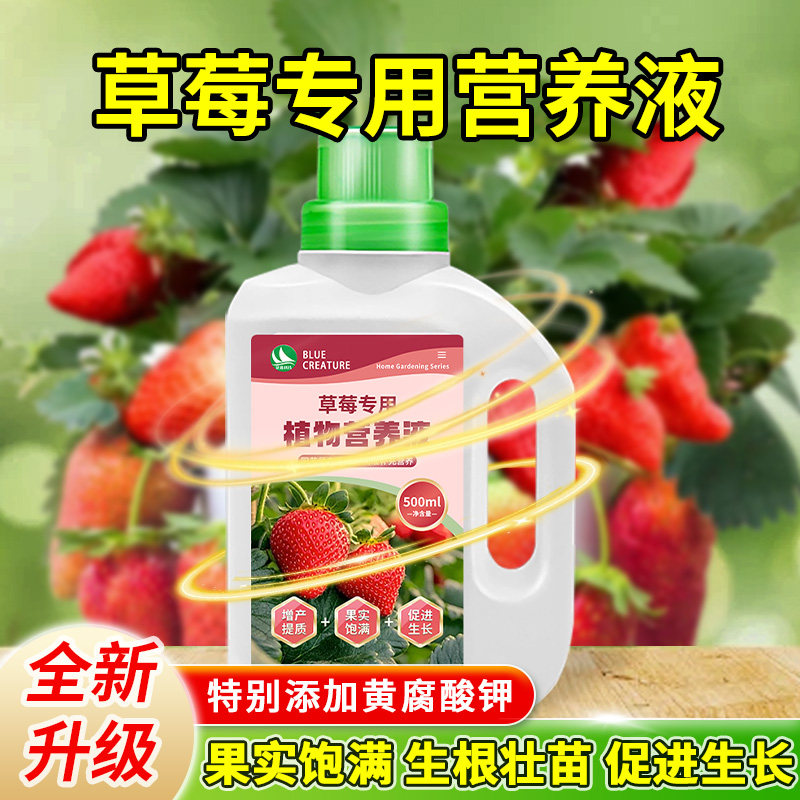 花多多草莓专用营养液叶面肥