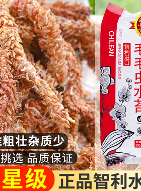 智利进口毛毛虫水苔蝴蝶兰植物兰花专用土干苔藓植料乌龟冬眠垫材