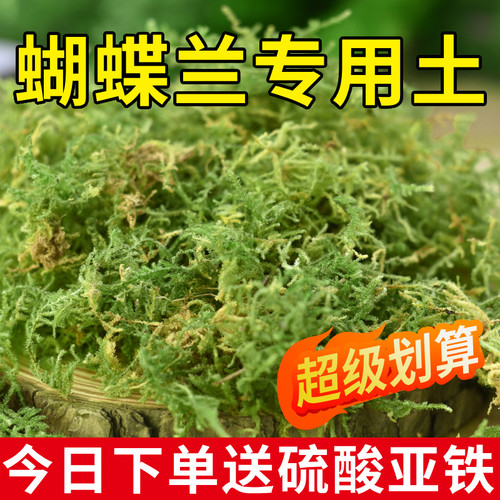 干苔藓水苔纯天然青苔