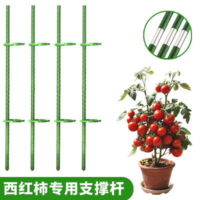 番茄西红柿植物防倒支撑杆爬藤架包塑钢管植物种菜搭架园艺支撑杆