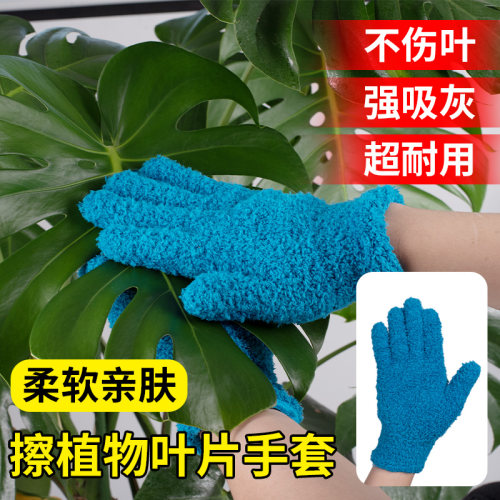 干湿两用擦叶片神器加厚珊瑚绒擦叶手套花卉植物清洁去灰除尘手套