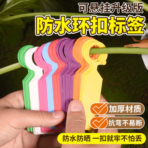 园艺标签吊牌防水植物挂牌塑料植物花卉水果标识卡环扣卡记号牌