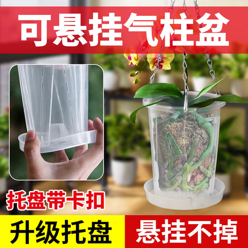 蝴蝶兰专用花盆透明控根盆