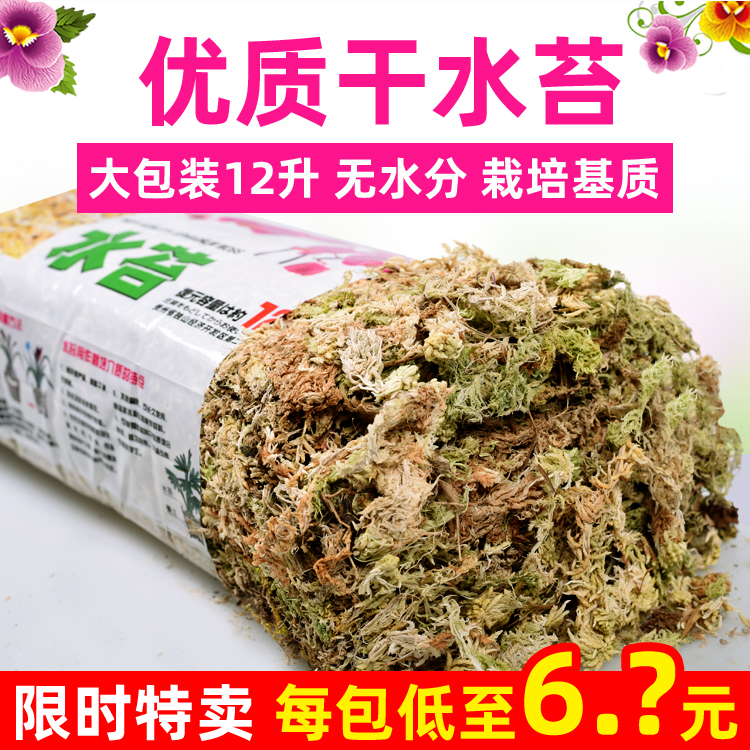 水苔优惠券官方价格 水苔优惠券官方图片 星期三