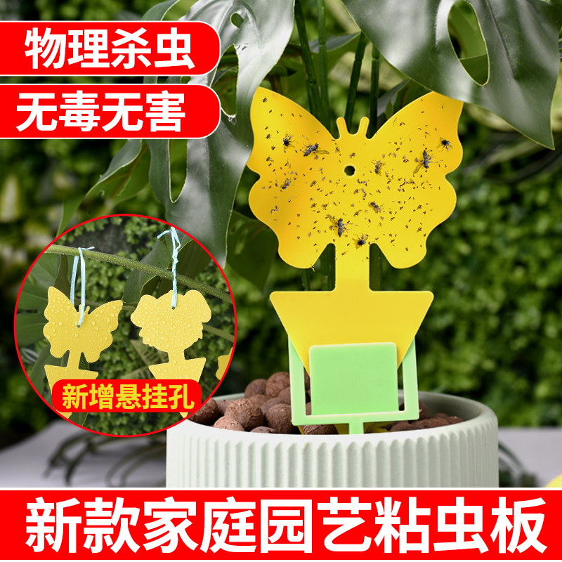 粘虫板黄板粘虫板小黑飞