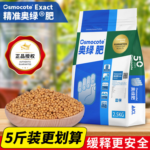 进口奥绿1号5号318大包5斤