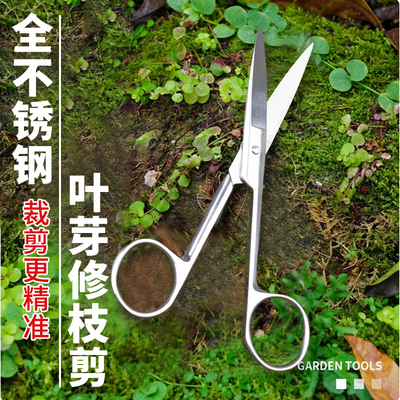 不锈钢叶芽剪盆景修枝盆景工具