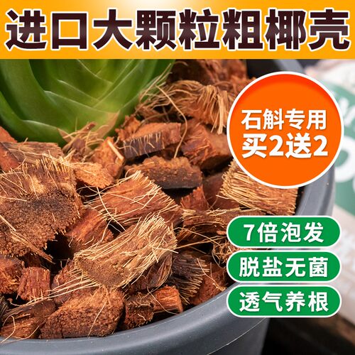石斛专用粗椰壳疏松透气兰科伙伴