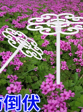 园艺固定支撑架酢浆草早花太阳花专用支架花架防倒伏造型园艺工具