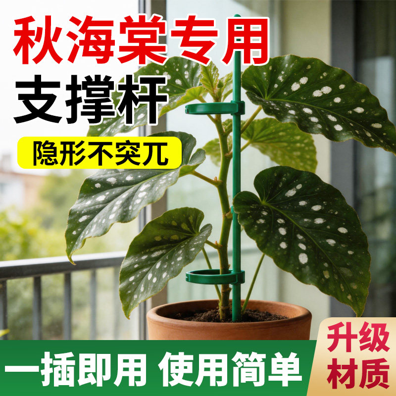 秋海棠支撑架阳台家用种菜专用架子防倒伏爬藤架固定杆园艺花架
