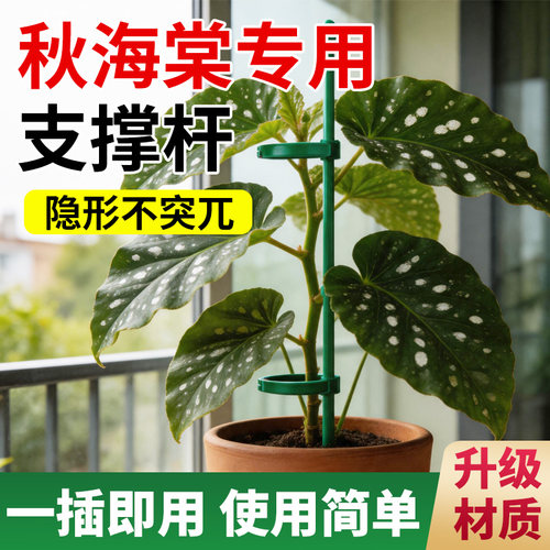 秋海棠支撑架阳台家用种菜专用架子防倒伏爬藤架固定杆园艺花架