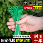 家用植物园艺绿色扎带自锁式扎带花架造型固定绳养花种菜爬藤专用